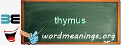 WordMeaning blackboard for thymus